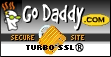 Go Daddy Turbo SSL secure site