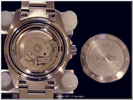the TigerShark - a classic diver's watch